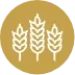 ic-Carbohydrates